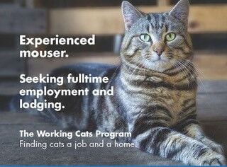 Working Cats Program
